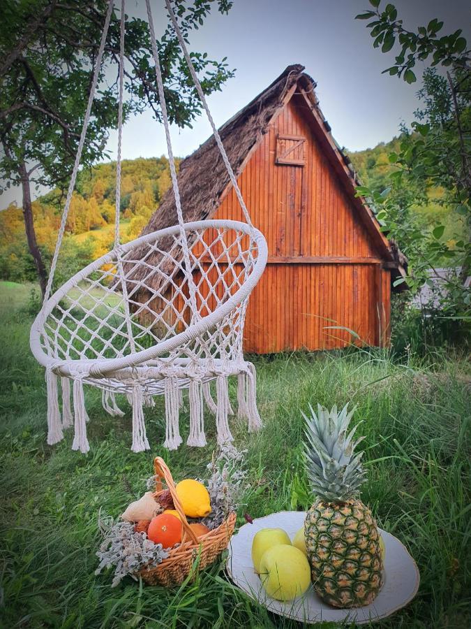 Отель Etno Domacinstvo Saponjic Нова-Варош Экстерьер фото