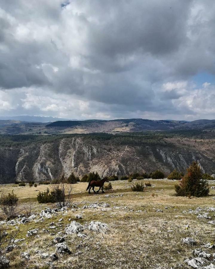 Отель Etno Domacinstvo Saponjic Нова-Варош Экстерьер фото