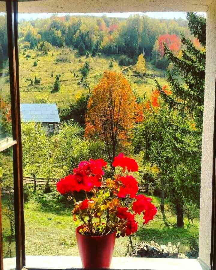 Отель Etno Domacinstvo Saponjic Нова-Варош Экстерьер фото